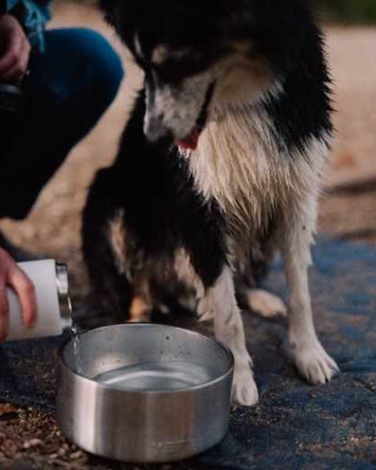 BOOMER 4 DOG BOWL in STAINLESS STEEL